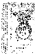 Click to enlarge