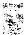 Click to enlarge