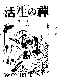 Click to enlarge