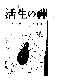 Click to enlarge