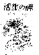 Click to enlarge