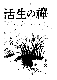 Click to enlarge