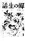 Click to enlarge